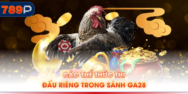 Các thể thức thi đấu riêng trong sảnh GA28