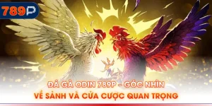 Đá gà Odin 789P – Góc Nhìn Về Sảnh Và Cửa Cược Quan Trọng
