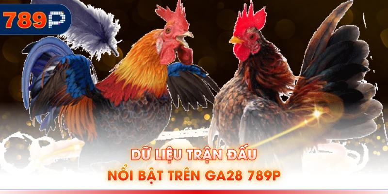 Dữ liệu trận đấu nổi bật trên GA28 789P
