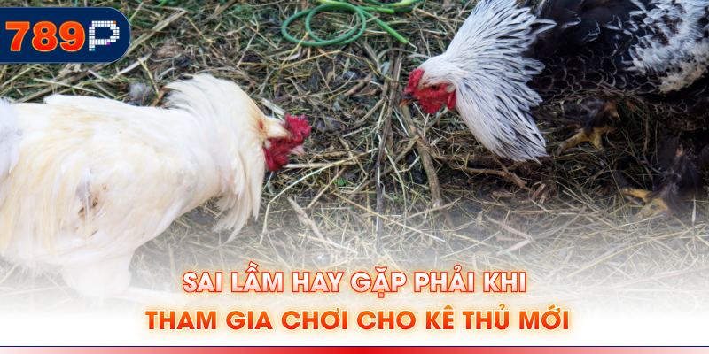Sai lầm hay gặp phải khi tham gia chơi cho kê thủ mới