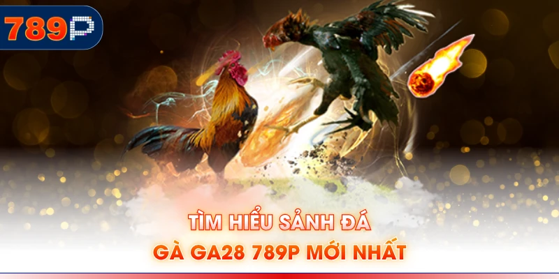 Tìm hiểu sảnh Đá gà GA28 789P mới nhất